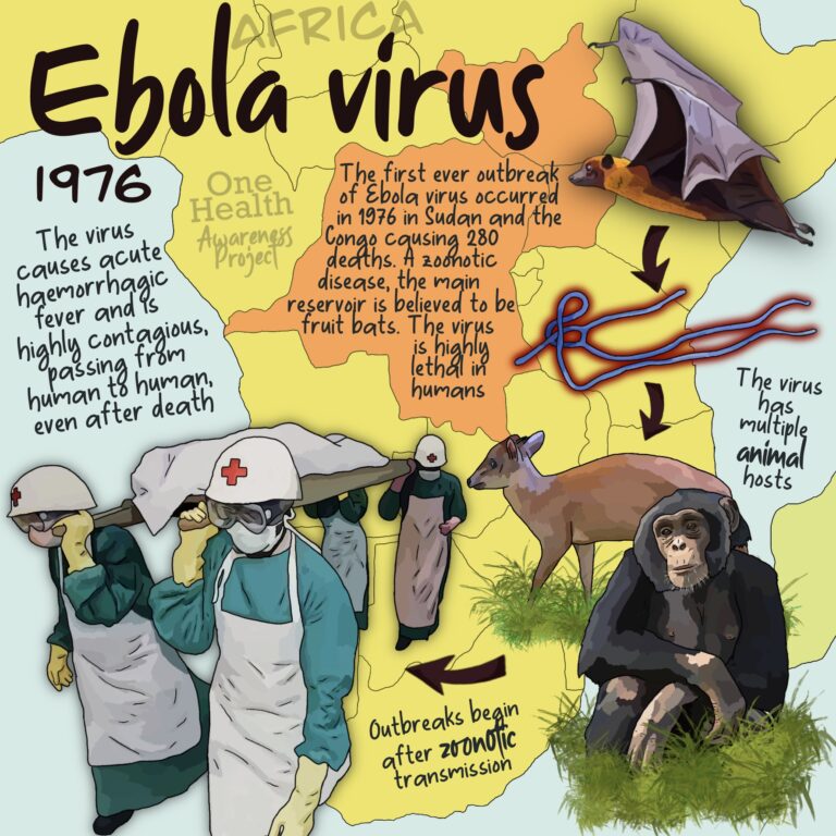 Ebola 1976