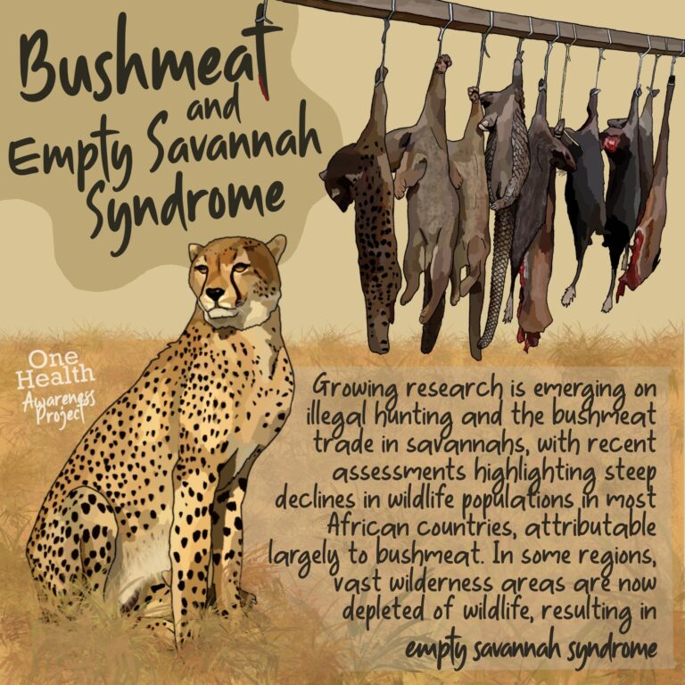 Empty bushmeat