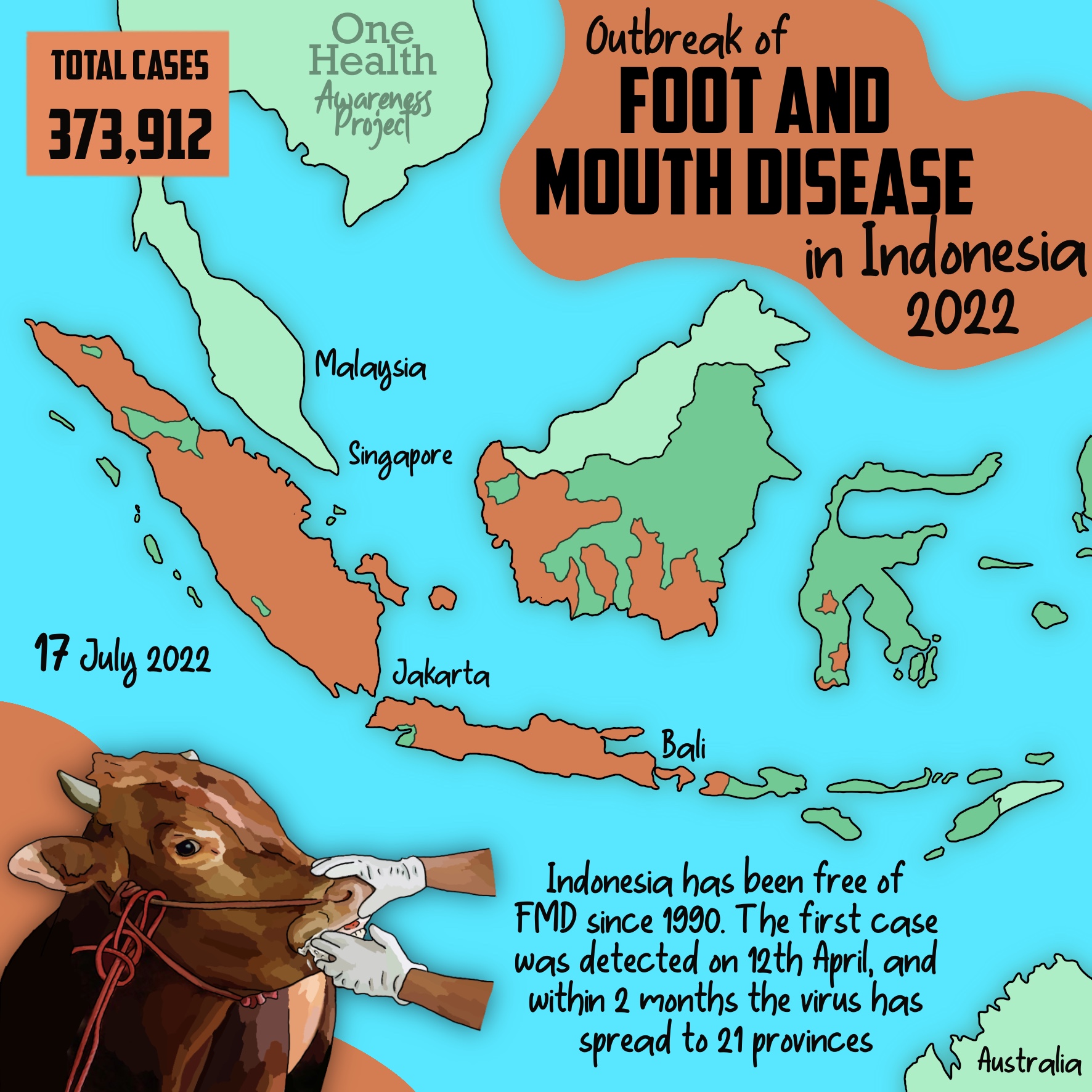 FMD in Indonesia