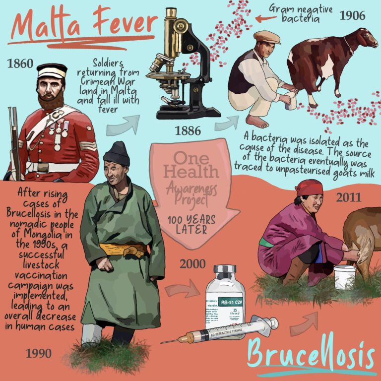 Malta-fever